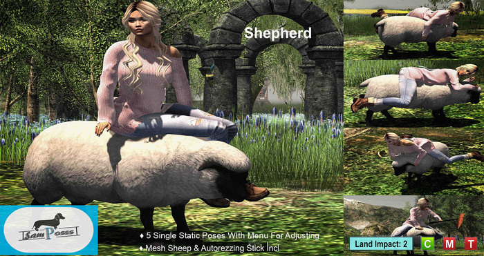 Shepherd