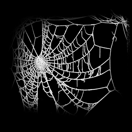 10 Web Alpha Textures