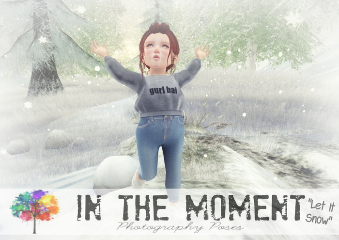 .In The Moment.Families. ~ Let It Snow [BOX]