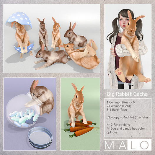 [MALO] Big Rabbit - Carrot RARE