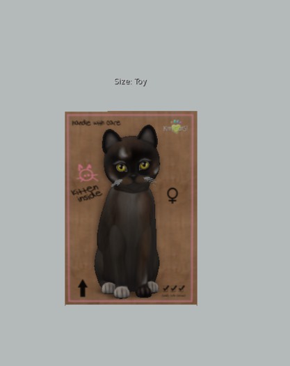 KittyCatS Box - 9+T Genesis - Coco III (F)