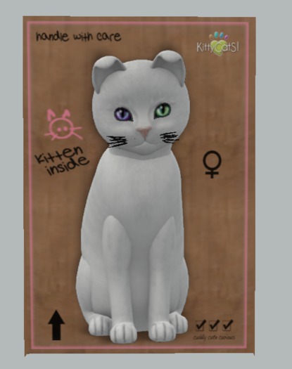 KittyCatS Box - 7T+  Russian - White (F)