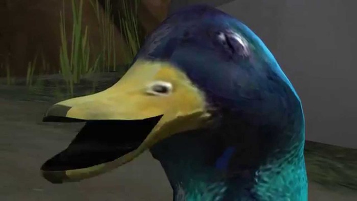 Duck.exe