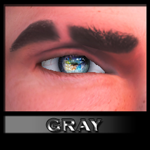 [ I ] LATEST GRAY MESH EYE