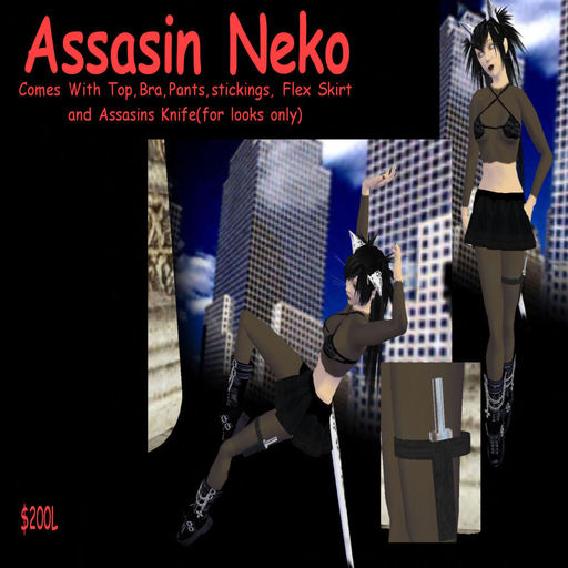 Assasin Neko