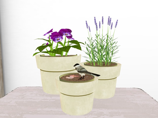 Mesh Plants In Pots