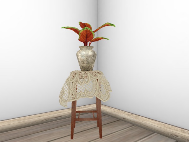 Plant Orange On Table