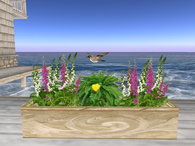 Garden Flowers With Bird