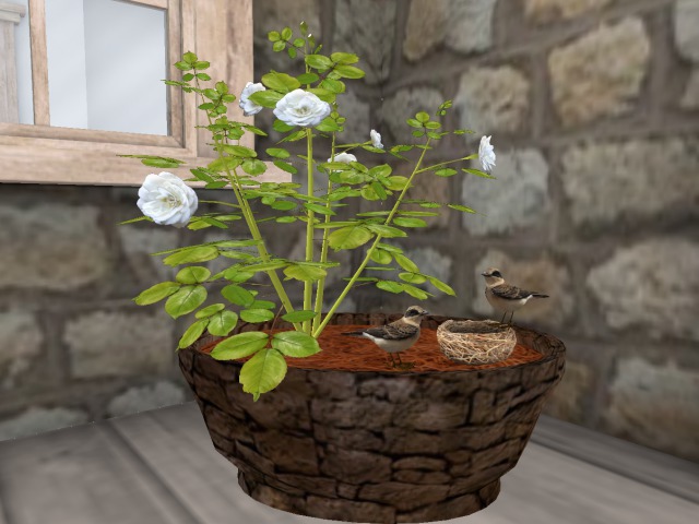 white Roses with Two Cute birds