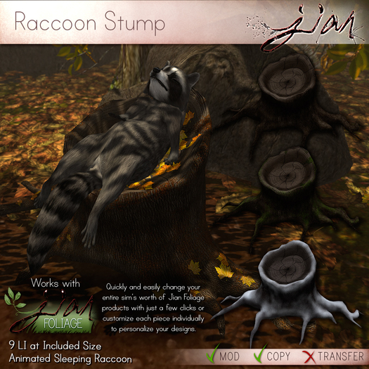 JIAN :: Raccoon Stump