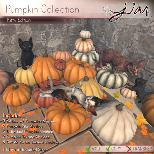 JIAN :: Pumpkin Collection w/ Kitten