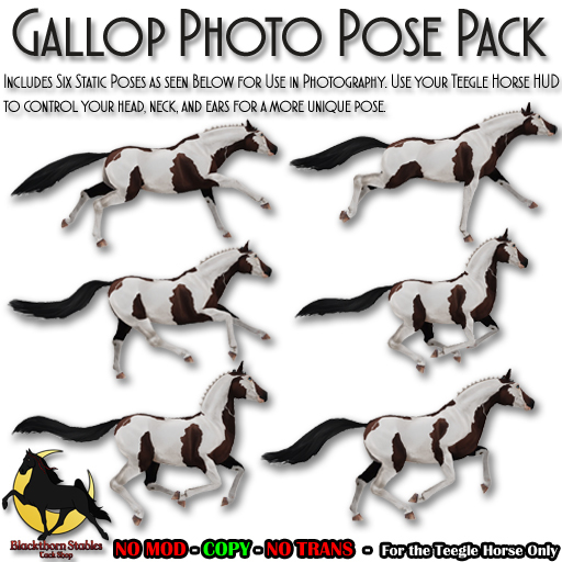 [BTS-TH] Gallop Photo Pose Pack (boxed)