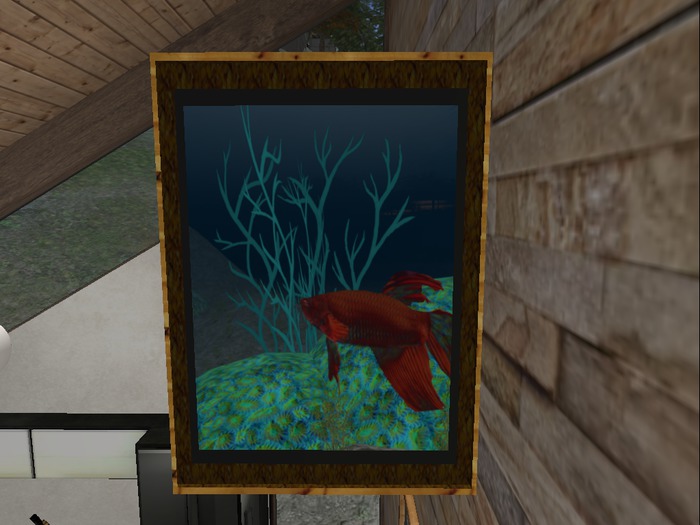 ALC Aline's Creations Picture Beta Fish Day of Fun (Box)