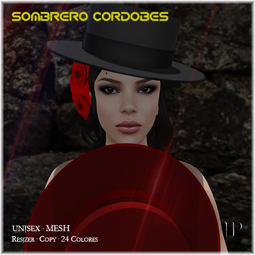 *Isa ProJects*Sombrero Cordobes