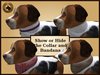 Vkc ironwood puppy marketplace advert 05