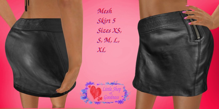 Black Leather Zipped Mini Skirt Mesh