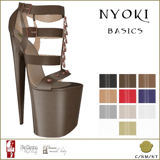 BM Nyoki Platforms Basics DEMO