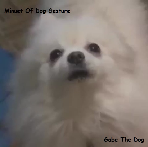 Minuet of Dog - Gabe