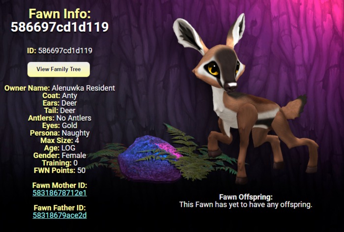 Fawns LOG - Anty - Female