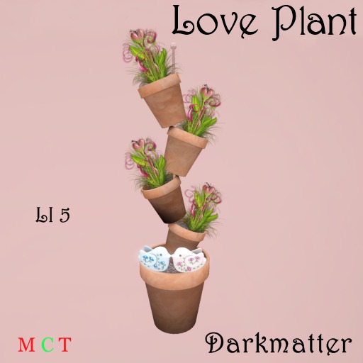 Love Plant