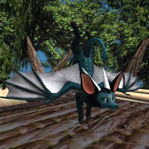 Dracofen  Teal