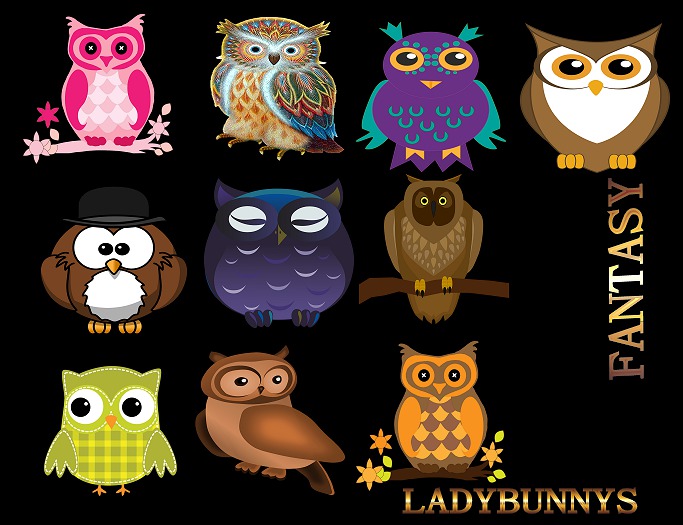 **How About That....Texture!**Colors of Owls{Full Perm Applique Kids Textures}