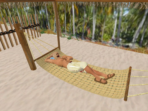 Hammock Swing for one with swing script