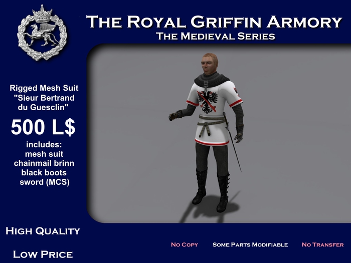 Armor Sieur Bertrand du Guesclin Medieval Armor Suit
