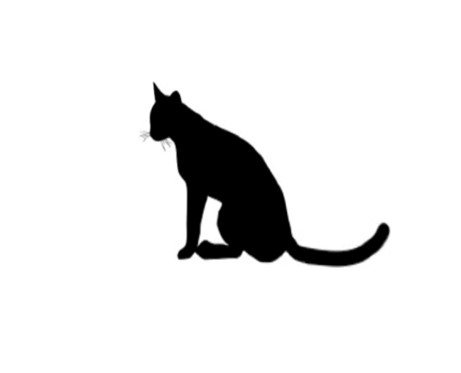 Sat Kitten Wall Decall