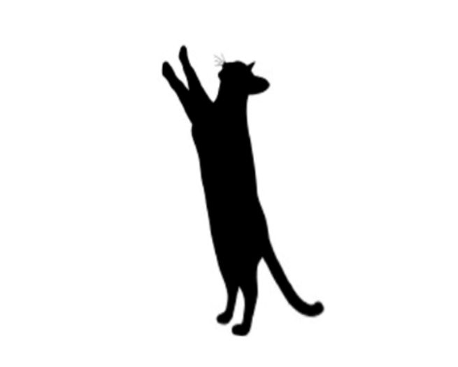 Playful Cat Wall Decall