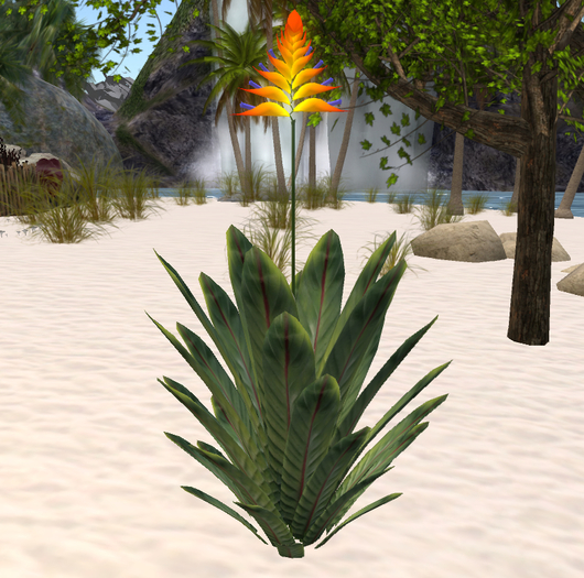 Tropical Paradise Flower, #2