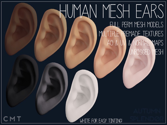 ::AS:: Full Perm Mesh Ears