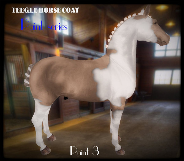 HDC Teegle  Product_Paint Series 3