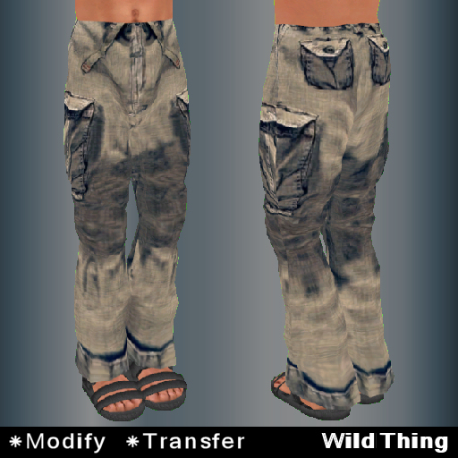 Worn Cargo Pants