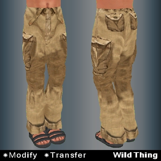 Brown Cargo Pants
