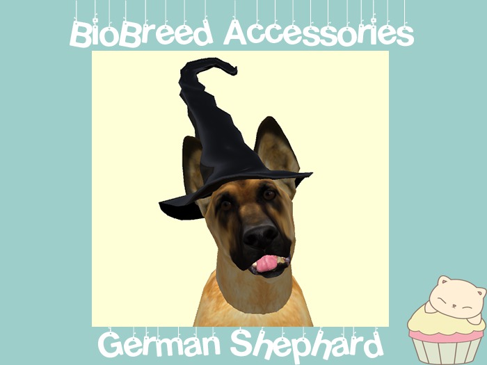 :ellie: German Shepherd Witch Hat