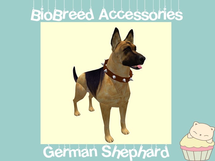 german shepherd spiked collar