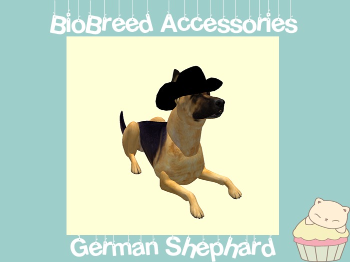 :ellie: German Shepherd Cowboy Hat