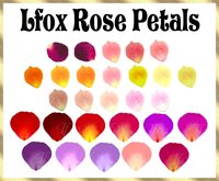 lfox Rose Petal Textures