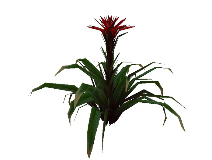 Mesh Tropical Plant 2
