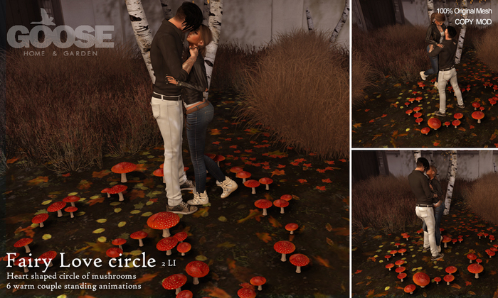 GOOSE - Fairy love circle