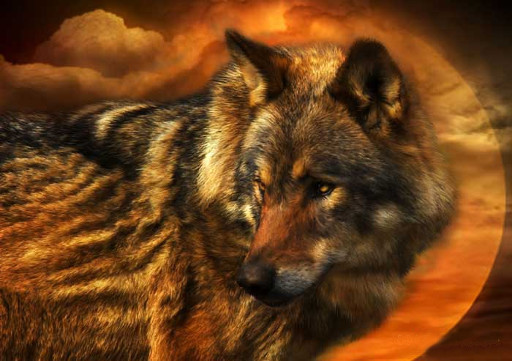 Ivy's Shop.:Wolf in sunset wall picture:.