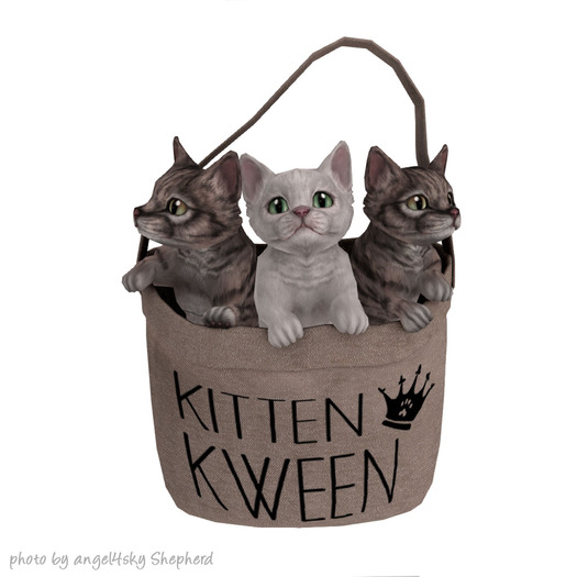 JIAN Munchkin Kittens :: Tote Lootbox RARE