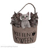 JIAN Munchkin Kittens :: Tote Lootbox RARE