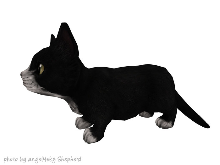 JIAN Munchkin Kittens :: Book Lootcrate RARE