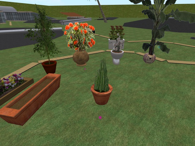 Plants