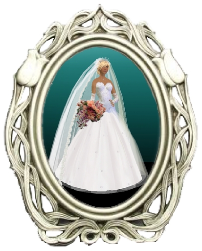 Zanmade Sheer Beauty Bride