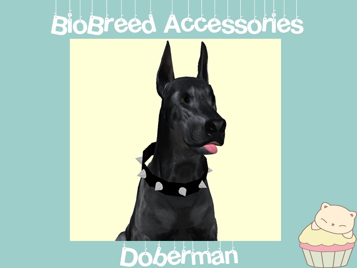 doberman spiked collar