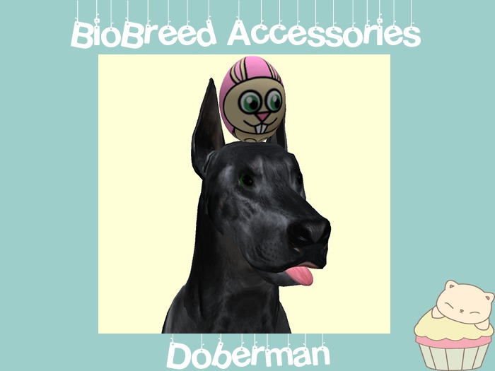 Doberman Egg