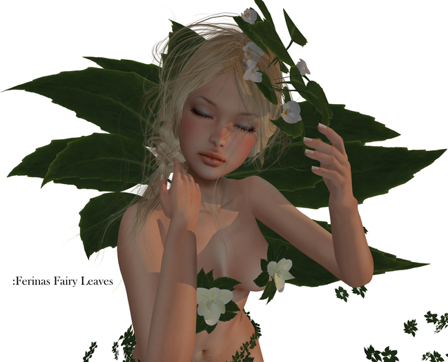 :Ferinas Fairy Leaves